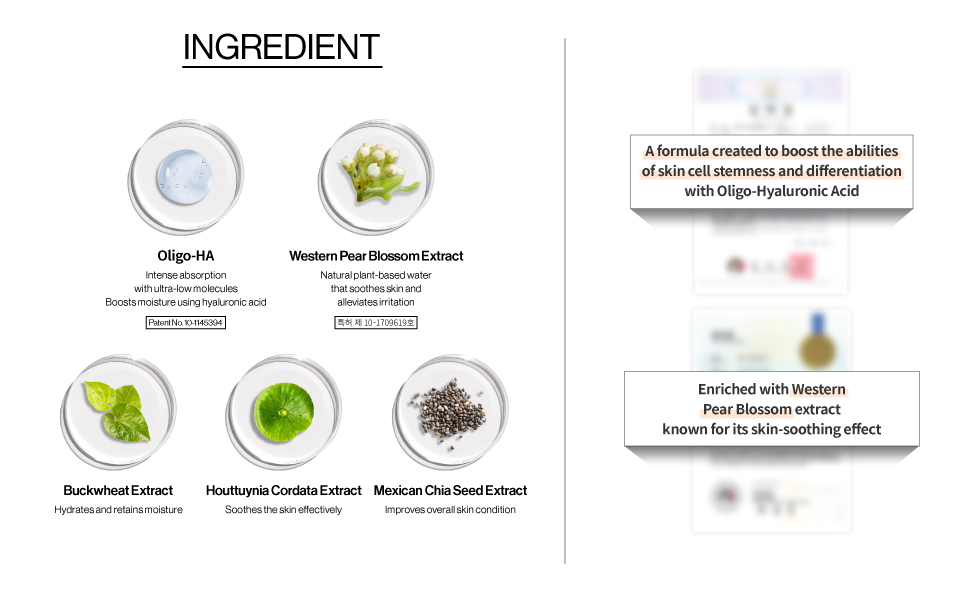 ingredient 