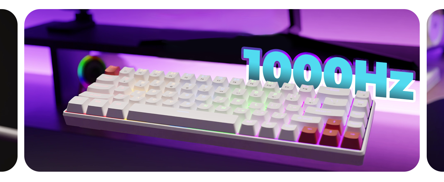 EvoFox Katana S Mini Tri-Mode Wireless Mechanical Gaming Keyboard
