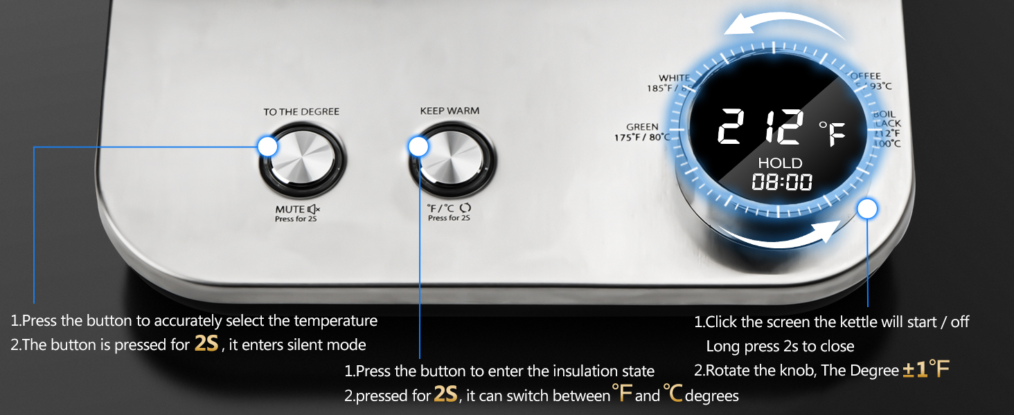 Gooseneck Electric Kettle