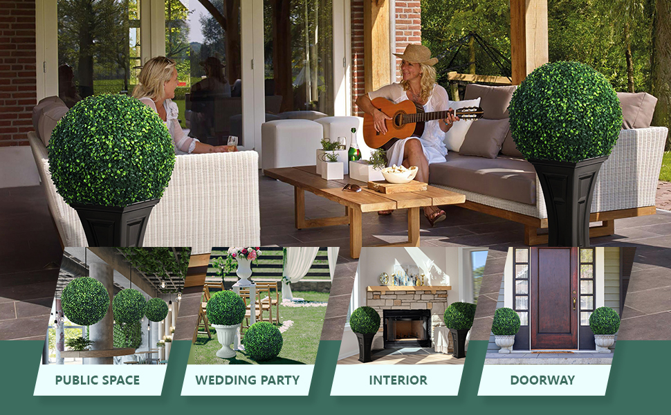 boxwood balls