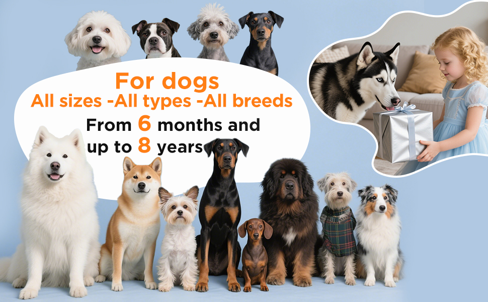 Dog Barking Deterrent Devices