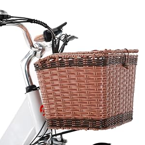 ebike