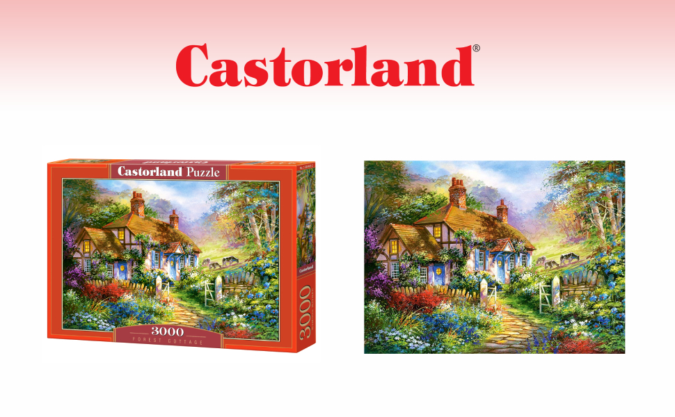 Amazon.com: Castorland 3000 Piece Jigsaw Puzzles, Forest