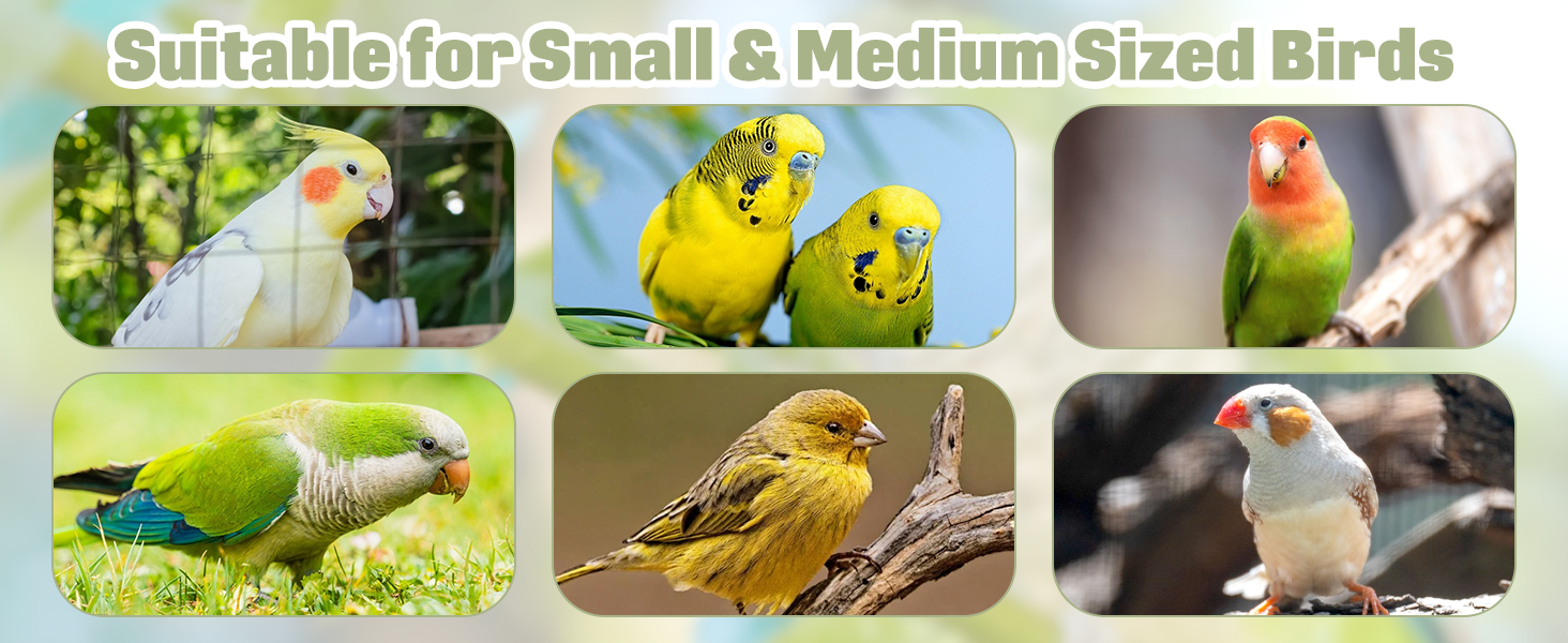 Bird Wooden Puzzle Foraging Toy