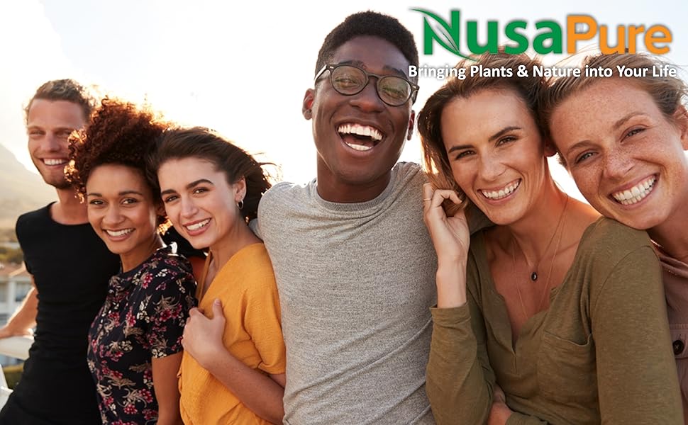 Nusapure