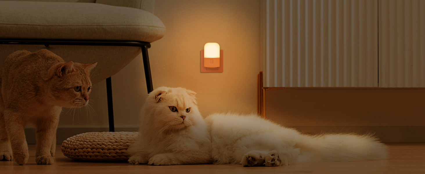 Night Light Plug in Wall