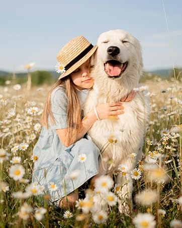 collagen sticks for large dogs dog collagen chews skin and coat collagen for dogs tally liquid