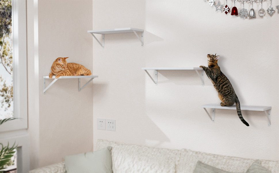cat wall shelves