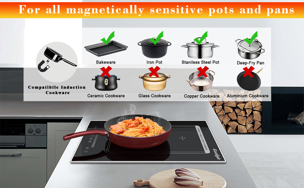 Cooksir Induction Hob Plug, 2 Zone Electric Hob Flex Zone, Double