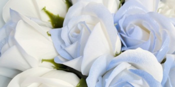 ソープフラワー