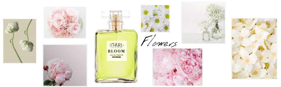 Bloom Floral perfume for women long lasting