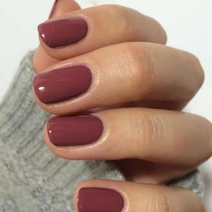 Nail polish paint set box combo glossy long lasting high shine 12 lacquer nail art trendy colors