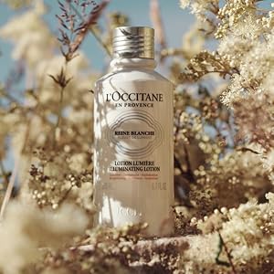 L'Occitane Reine Blanche Brightening Cream, 50ml : Amazon.in