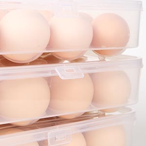 egg box 24 grids egg box egg box for refrigerator egg boxes for chicken eggs