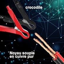 Pinces crocodiles de haute qualité