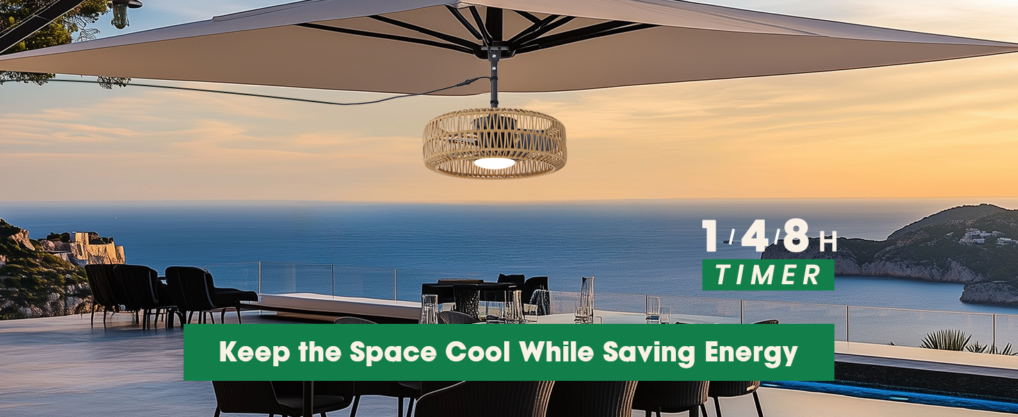 smart ceiling fan