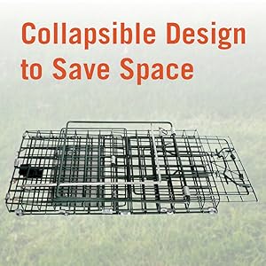 collapsible trap outside
