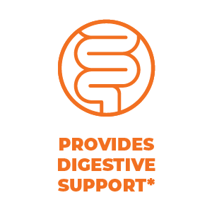 digestive support turmeric curcumin black pepper moringa leaves joint support, healthy energy levels
