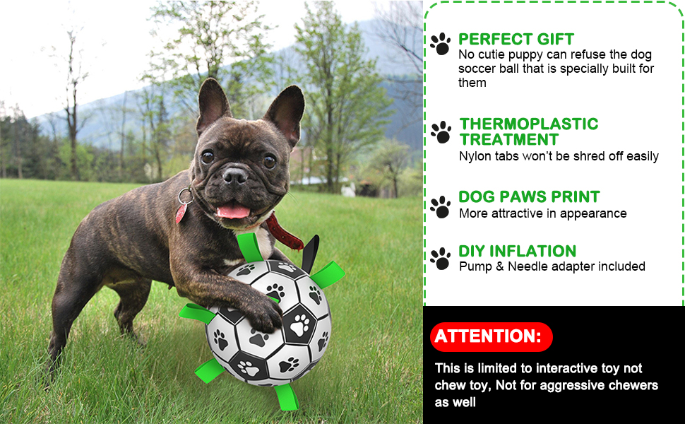 soccer ball for dog jolly ball water ball TBCPET Soccer Ball - Interactive fetch toy for all dogs