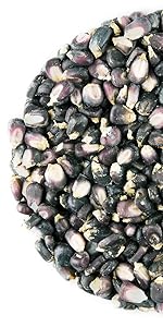 Organic Blue Corn Kernels by food to live