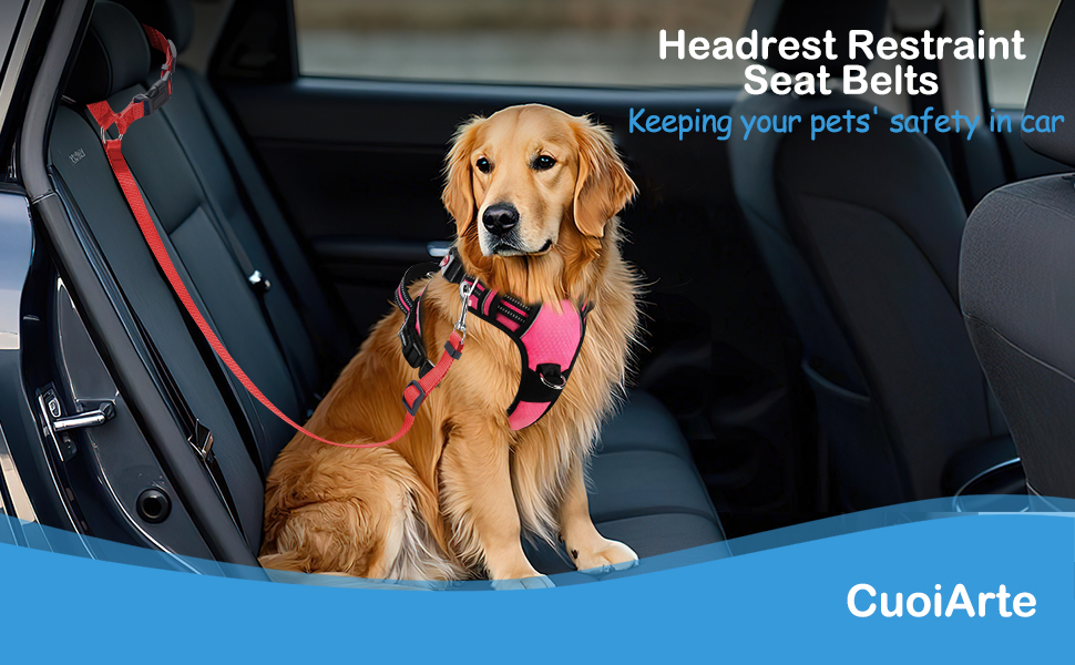 3 Pack Dog Seat Belts for Car