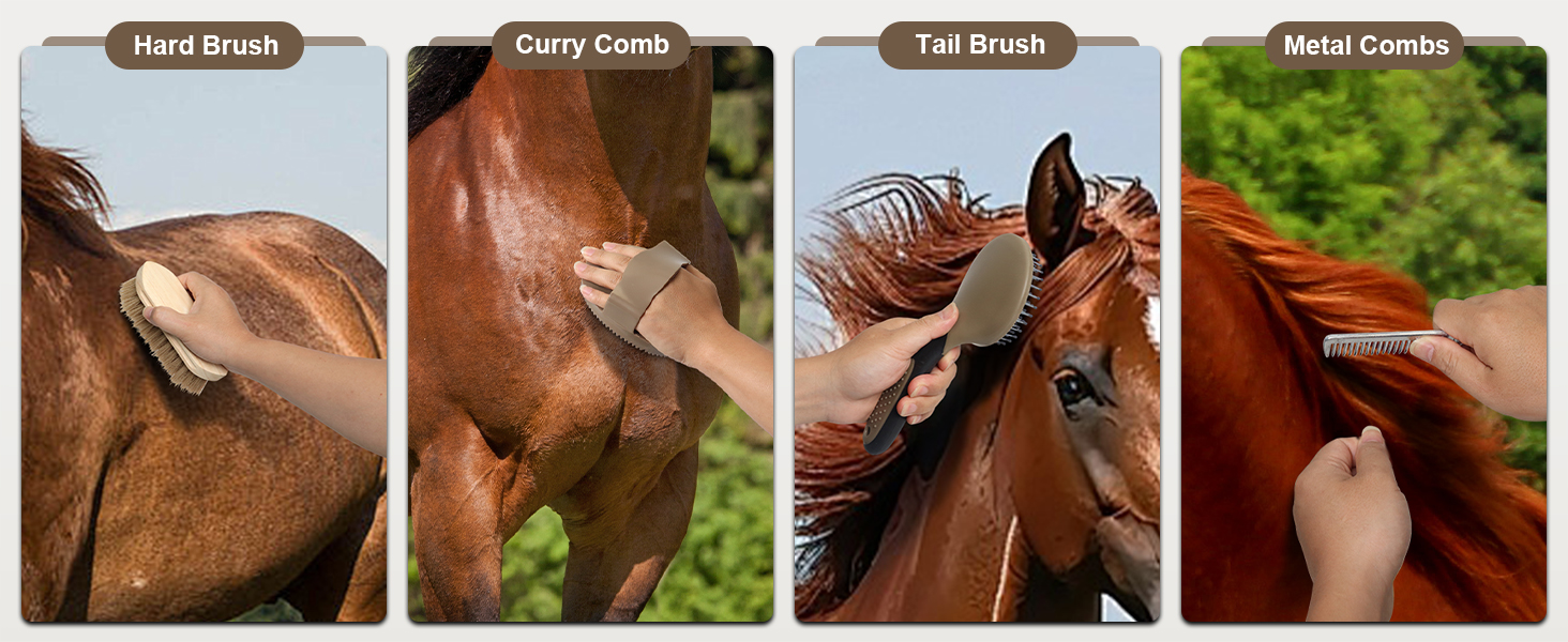 horse grooming accessories complete set with bag brushes comb