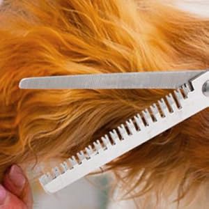 Professional Dog &amp; Cat Grooming Essential Tool for Groomers