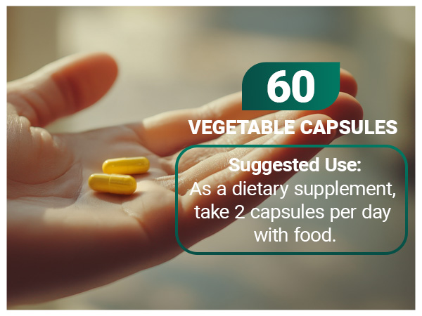 Dr. Berg Liver Cleanse Support Premium A+ Content Liver Support Supplement Liver Health