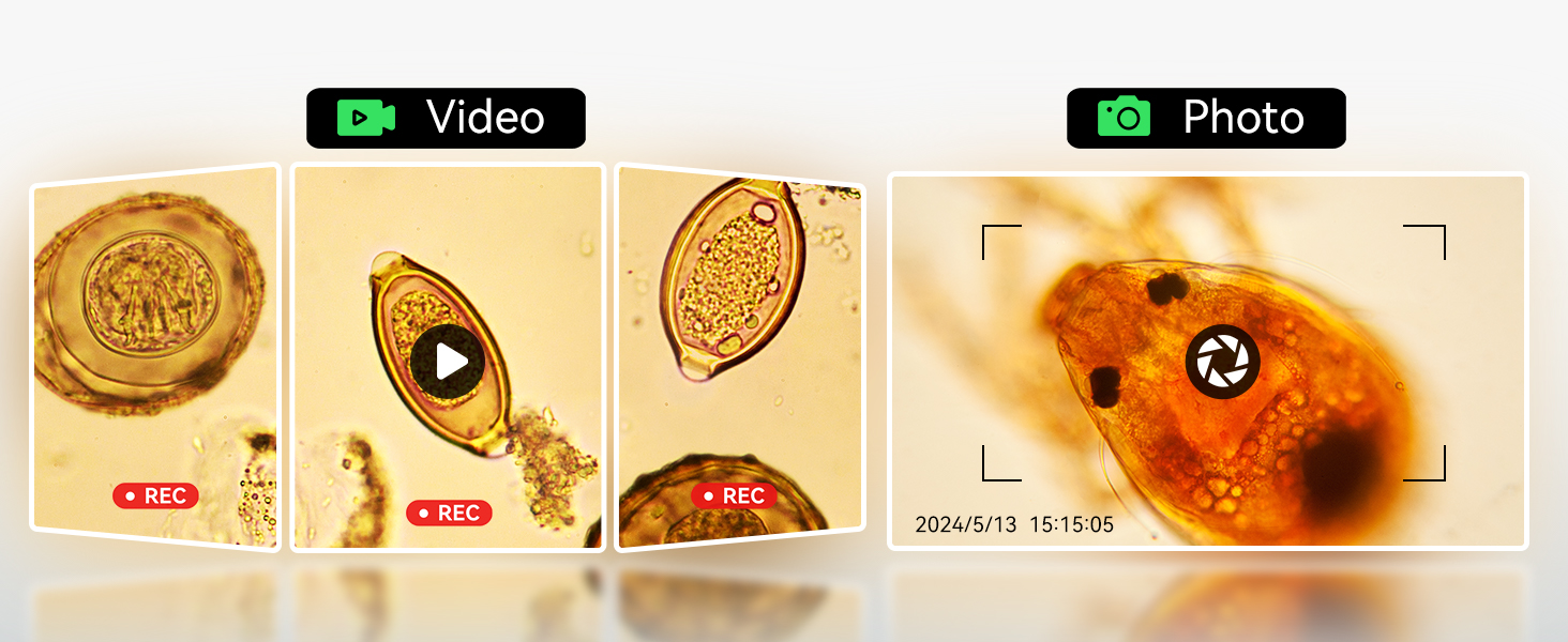 ODM301 Pro biological microscope