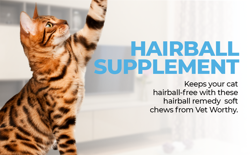 Vet Worthy Hairball Soft Chew for Cats Hairball Remedy for