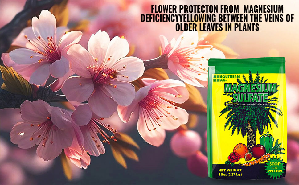 Premium Magnesium Sulphate for Plant Growth Southern Ag