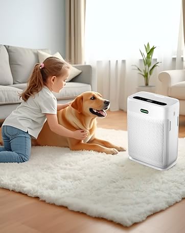 AI Creative Studio Generated Asset