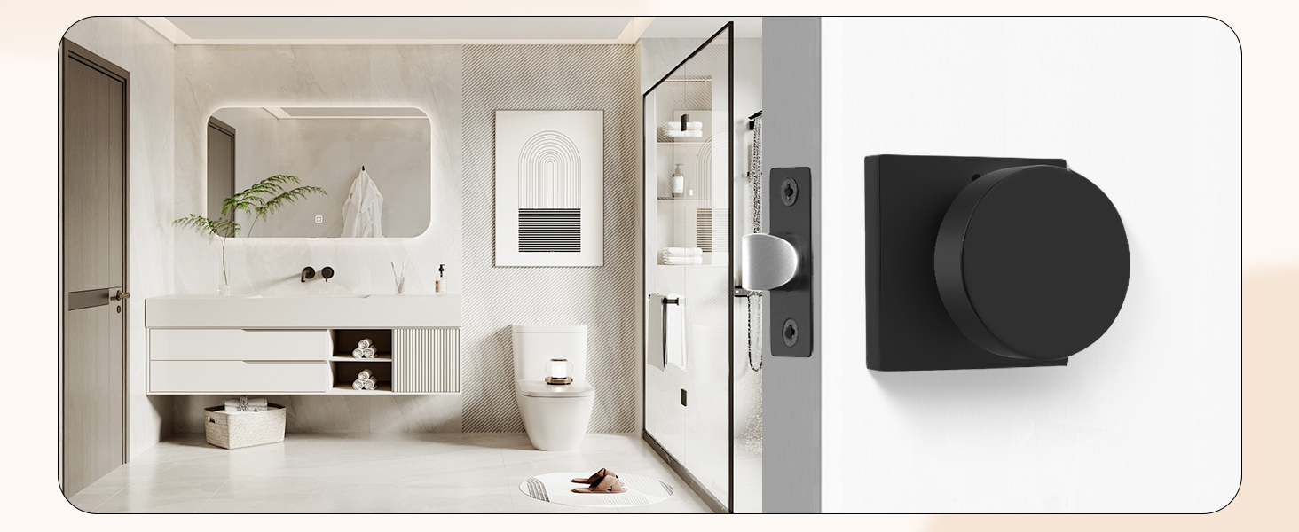 matte black  door knobs interior