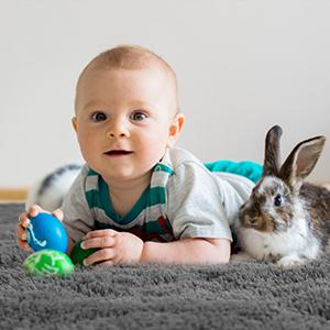 Ophanie Fluffy Area Rugs