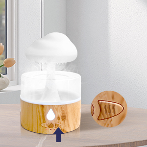Rain Cloud Humidifier
