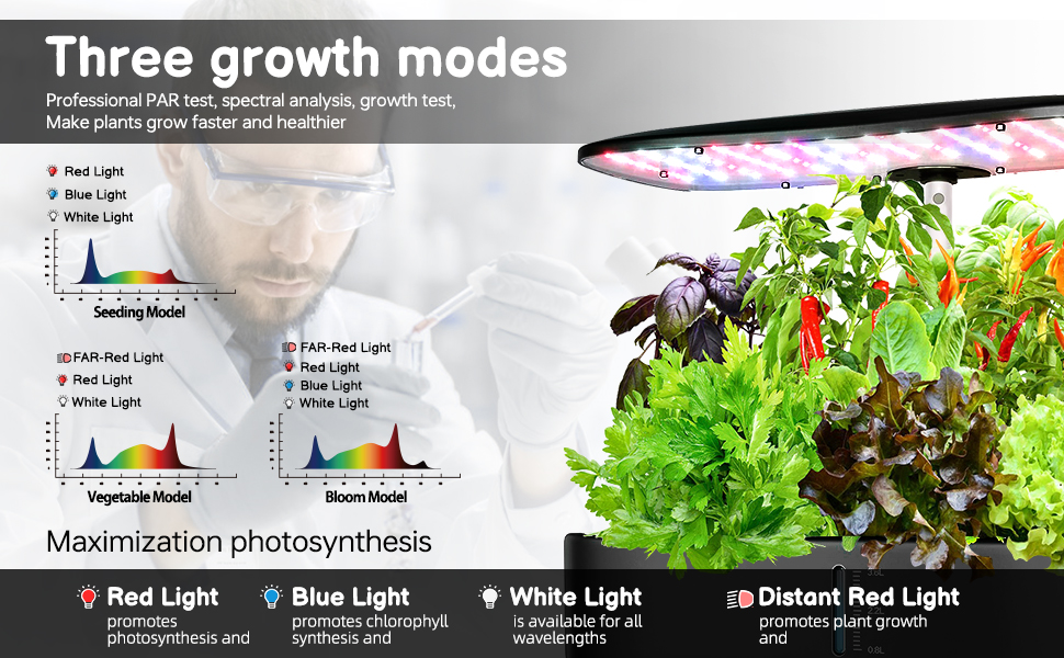 hydroponics growing system kit