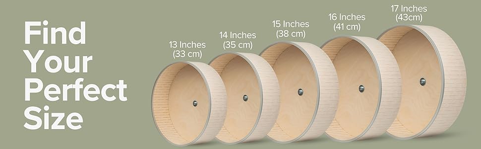 Fünf kreisförmige Holzringe mit zunehmender Größe werden in einer Reihe angezeigt, wobei die Maße zwischen 23,5 mm und 31 mm über jedem Ring angegeben sind.