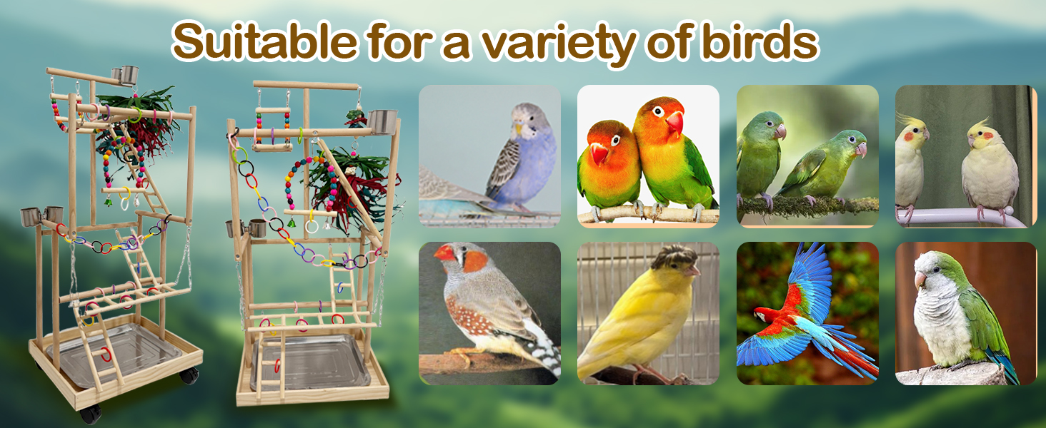 large bird playground