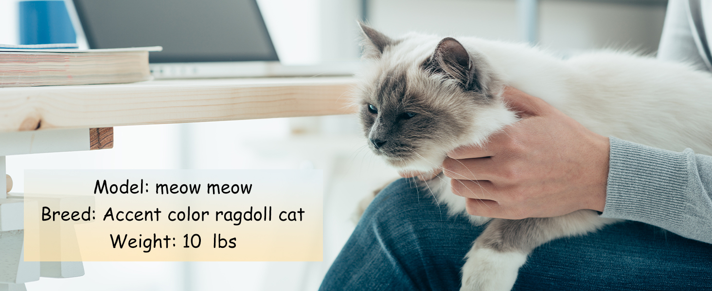 MIAO PAW Green Cute Cat Tree Tower Hammock for Indoor Cats