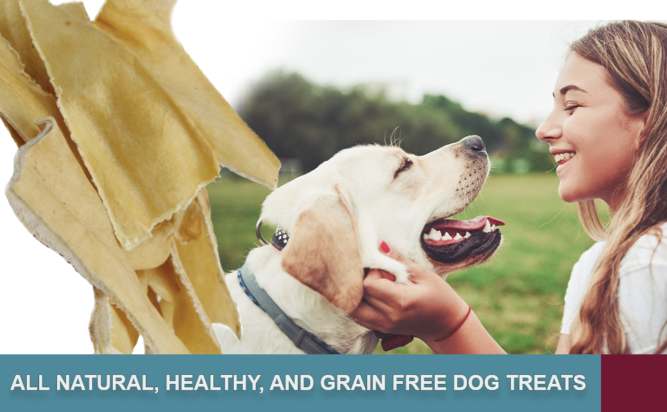 Wild Eats Water Buffalo All Natural Ear Slices Dog Chews