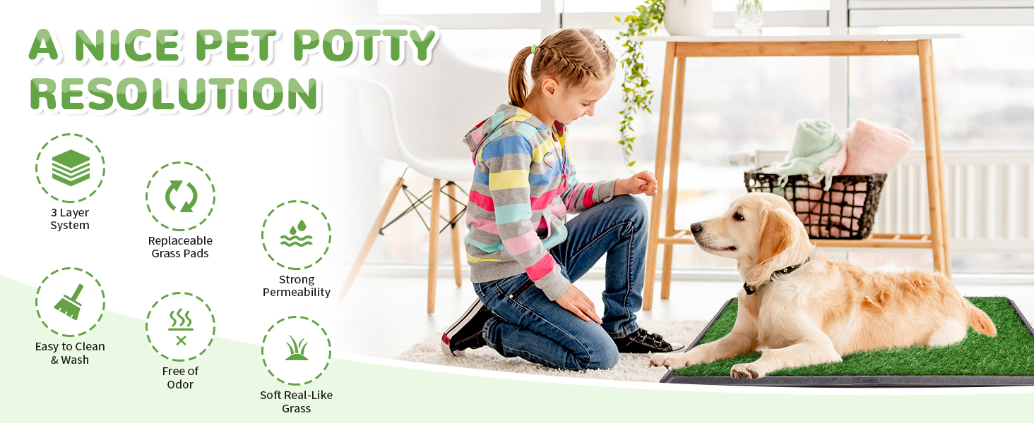 indoor dog potty