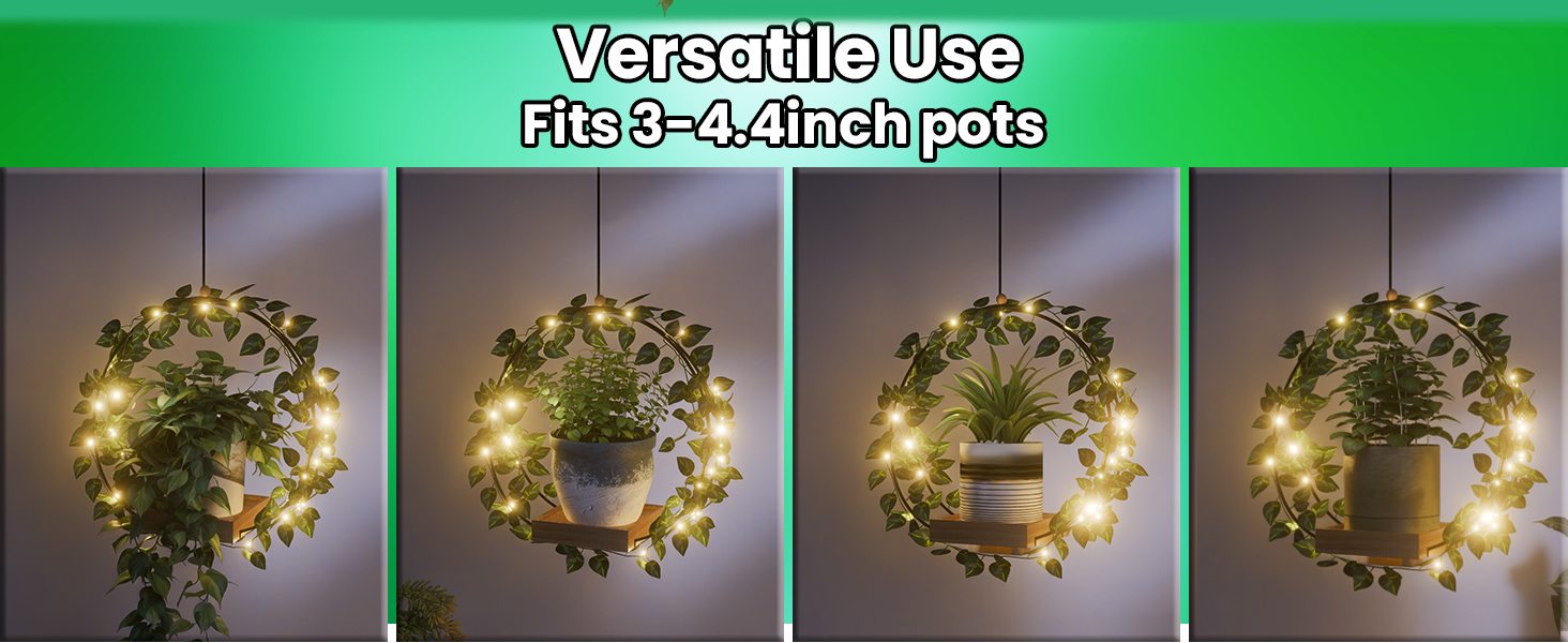 hanging planter indoor