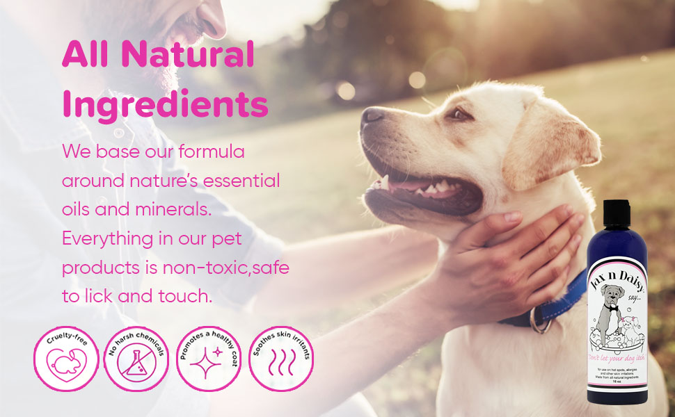 Dog Shampoo Jack And Daisy atelieryuwa.ciao.jp