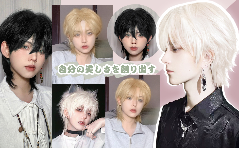 ウィッグ5個セット(メンズ顔) Amazon.co.jp: Aisiqueensウィッグ ショート メンズ センター