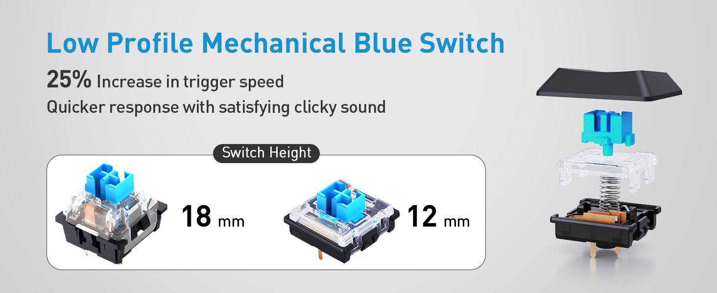 Low Profile Mechanical Blue Switch