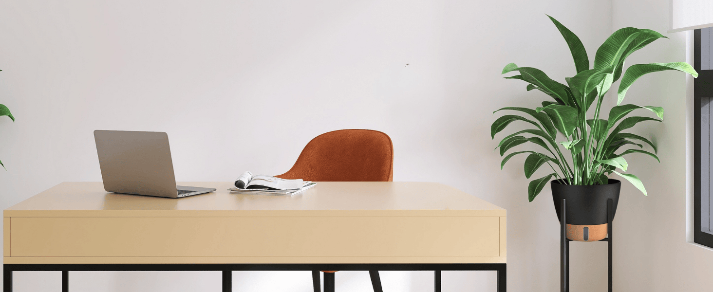 indoor pots for plants for office