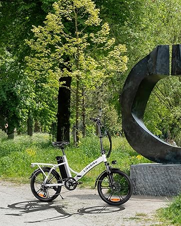 Electric Bike for Adults