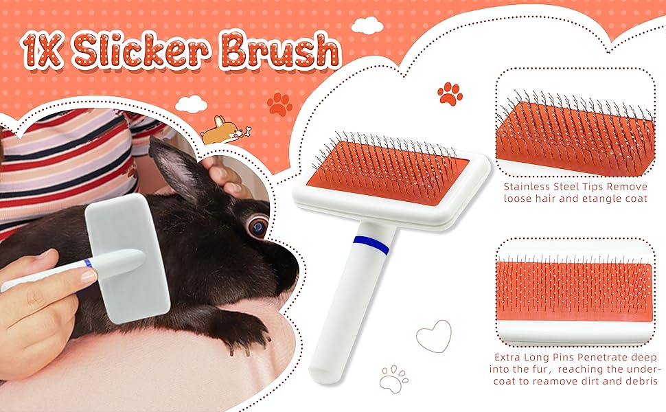 rabbit brush bunny brush