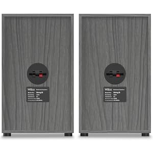 altavoz sound bluetooth grande potente autoamplificados portatil usb monitor estudio estantería