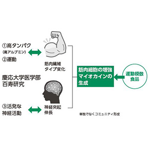 健康百科事典　世界保健機関　WHO 国際共同出版　10巻+ビデオ5巻 ひとりぼっちの異世界攻略 life.5 超越者と死神と自称最弱